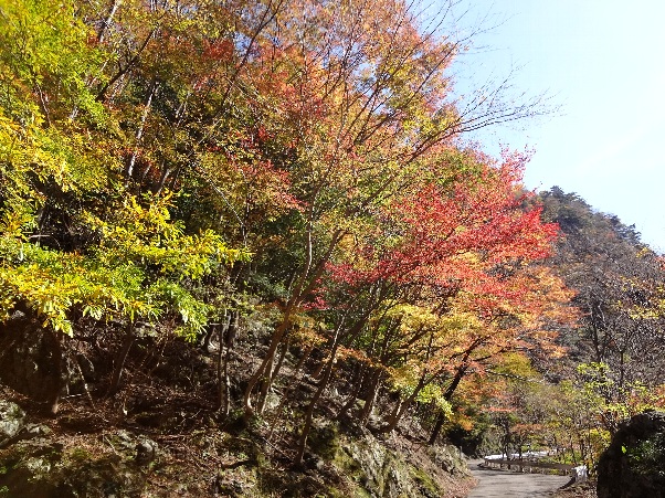 b0149340_21105330.jpg