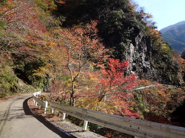 b0149340_21121377.jpg