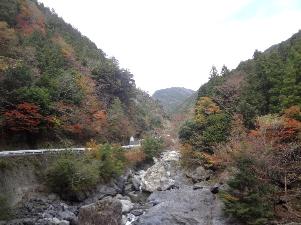 b0149340_21302939.jpg