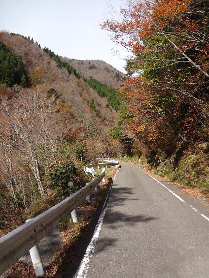 b0149340_2183651.jpg