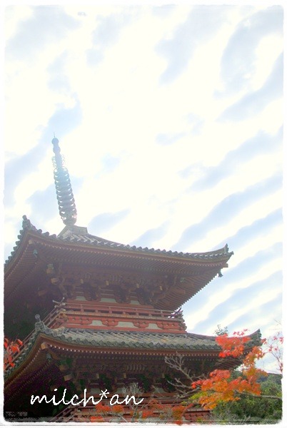 b0115642_22133058.jpg