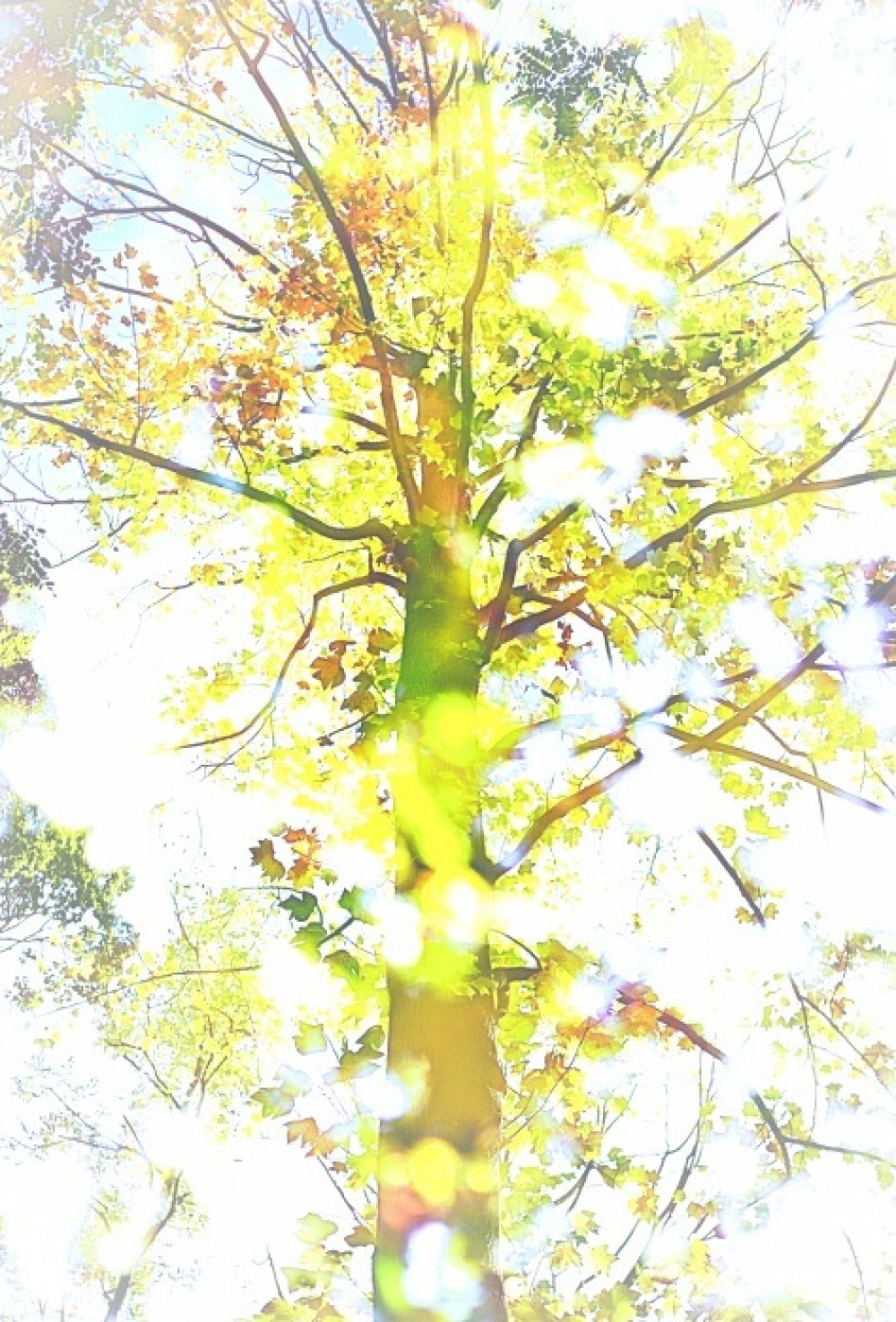c0335943_08235508.jpg