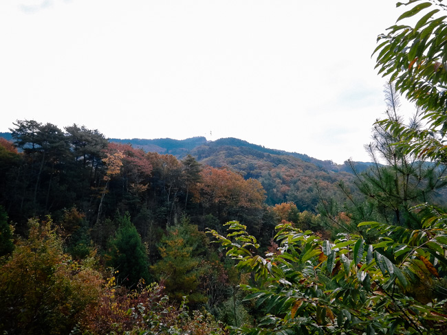 e0136745_20111337.jpg