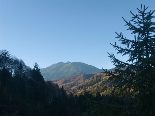 f0329849_20174754.jpg