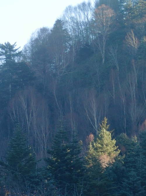 f0329849_20182523.jpg
