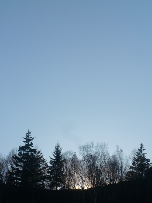 f0329849_2018787.jpg