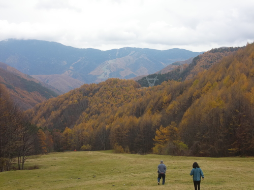 f0329849_21425781.jpg