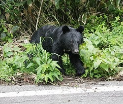 b0095350_17595532.jpg