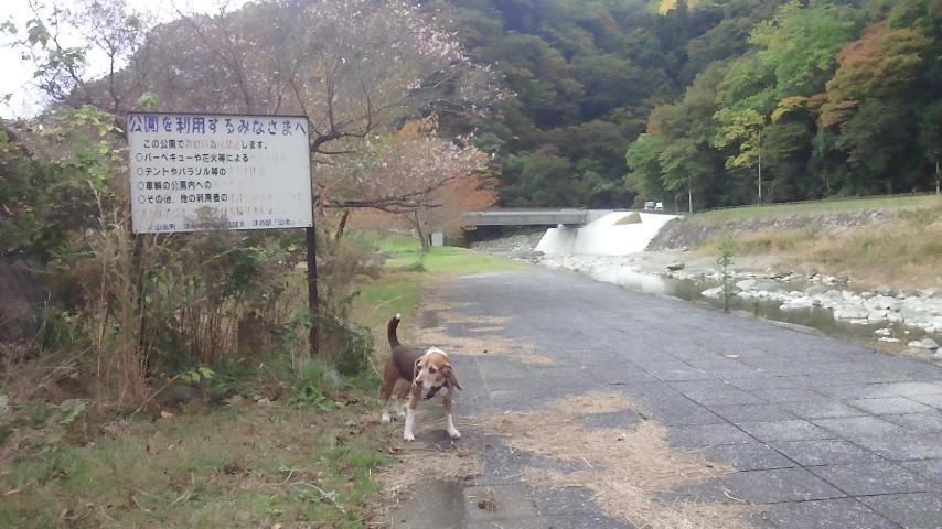 f0046250_16504058.jpg