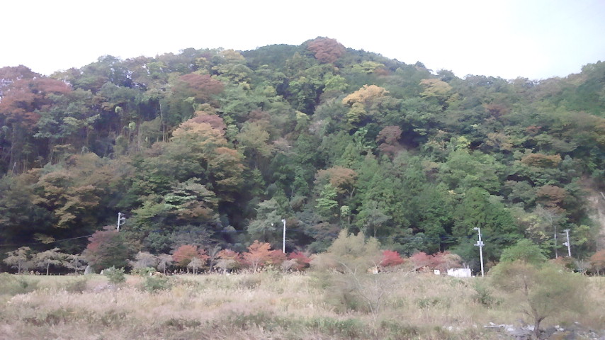 f0046250_16512980.jpg