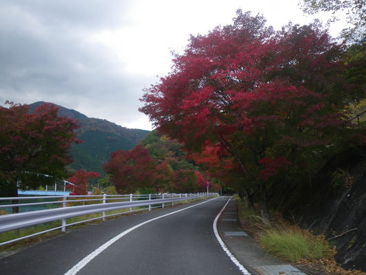 f0046250_16592892.jpg