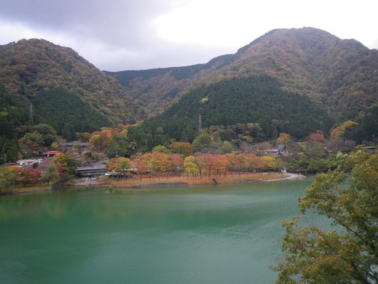 f0046250_1659521.jpg