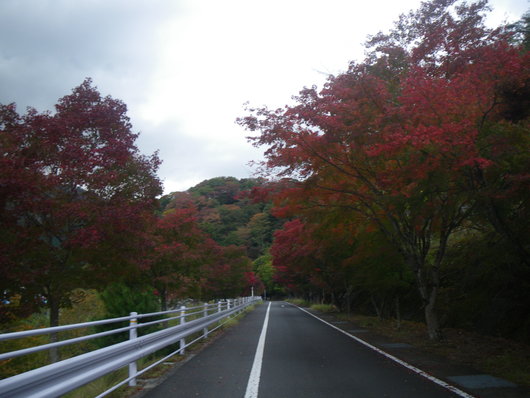 f0046250_170225.jpg