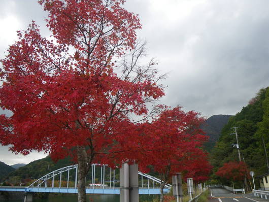 f0046250_1711492.jpg