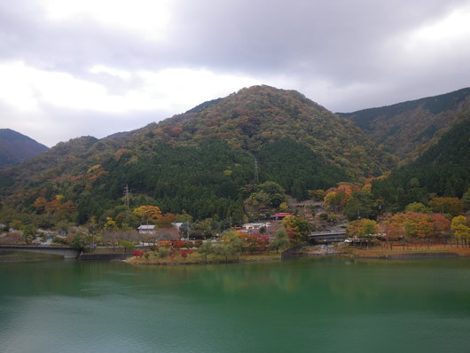 f0046250_1745531.jpg