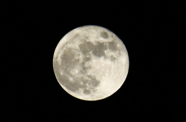 a0090451_17205611.jpg