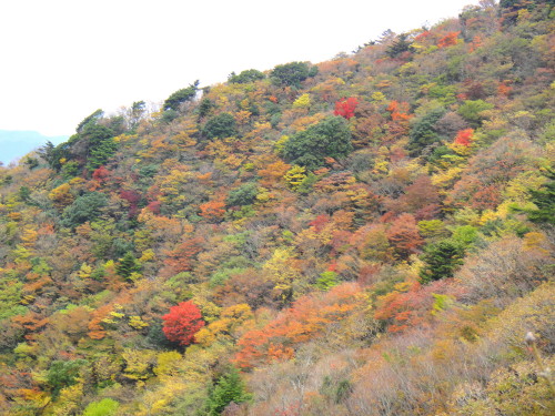 c0179351_2052498.jpg
