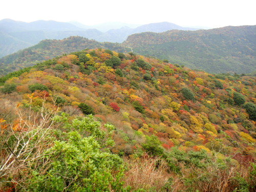 c0179351_20545072.jpg