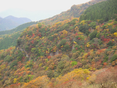 c0179351_20553017.jpg