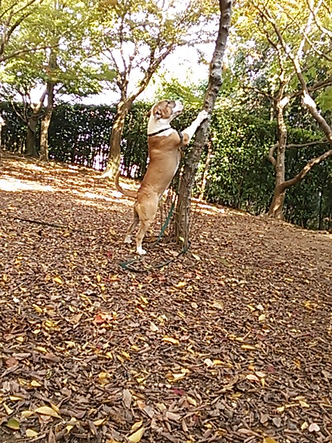 c0073152_2255270.jpg