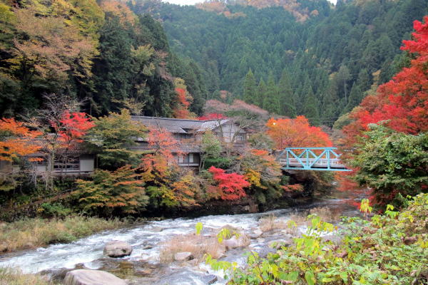 c0147952_0263083.jpg