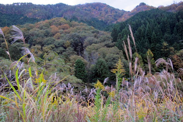 c0147952_0271986.jpg