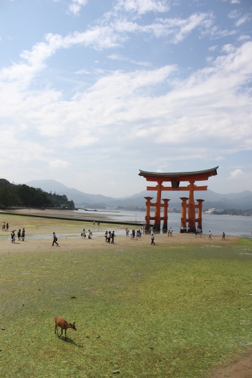 c0201257_0393232.jpg