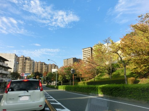e0045768_2130472.jpg