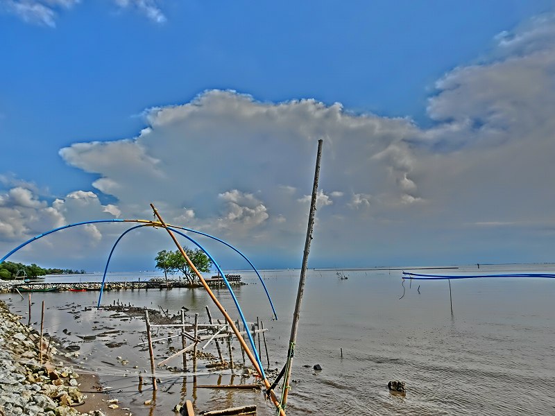 c0134569_1701524.jpg