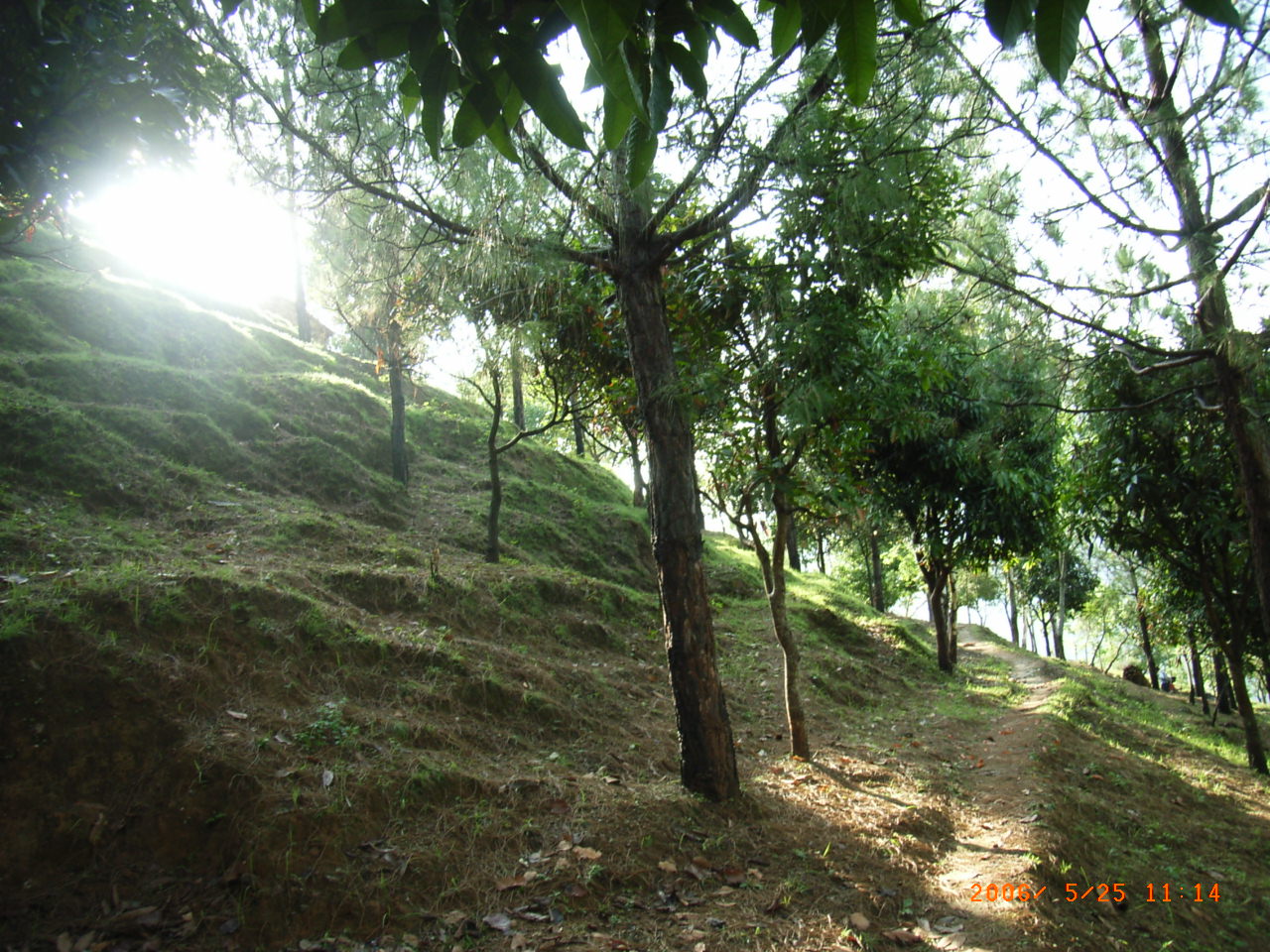 e0155370_11133290.jpg