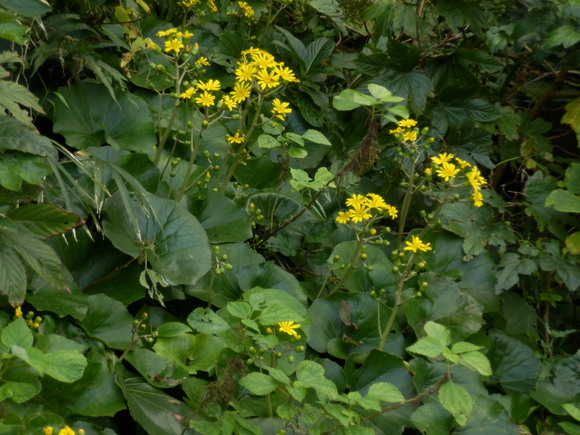 e0292172_20525533.jpg