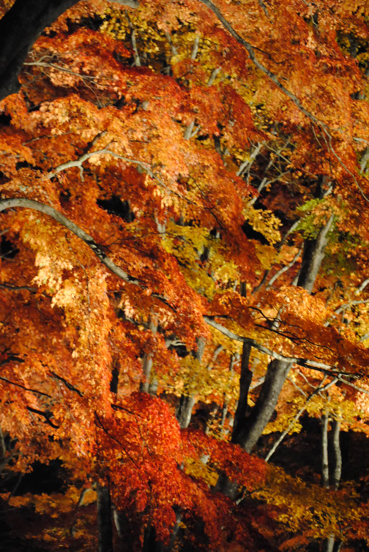 b0242873_22065764.jpg