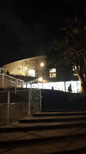 a0302478_9511374.jpg