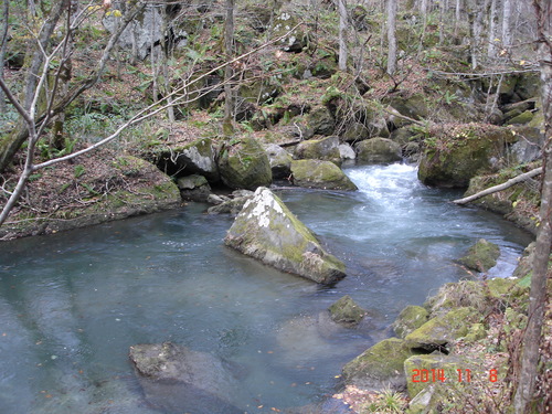d0165378_924217.jpg