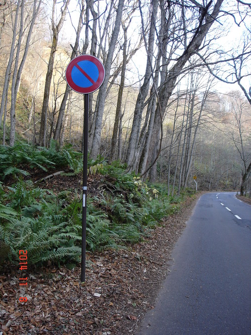 d0165378_9412876.jpg