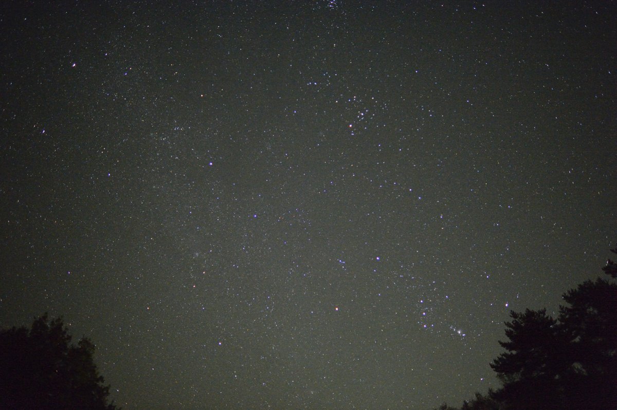 b0102780_1423993.jpg