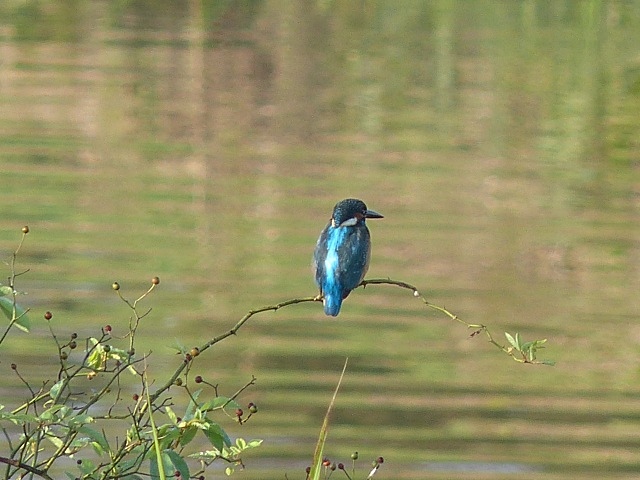 f0357487_23504213.jpg