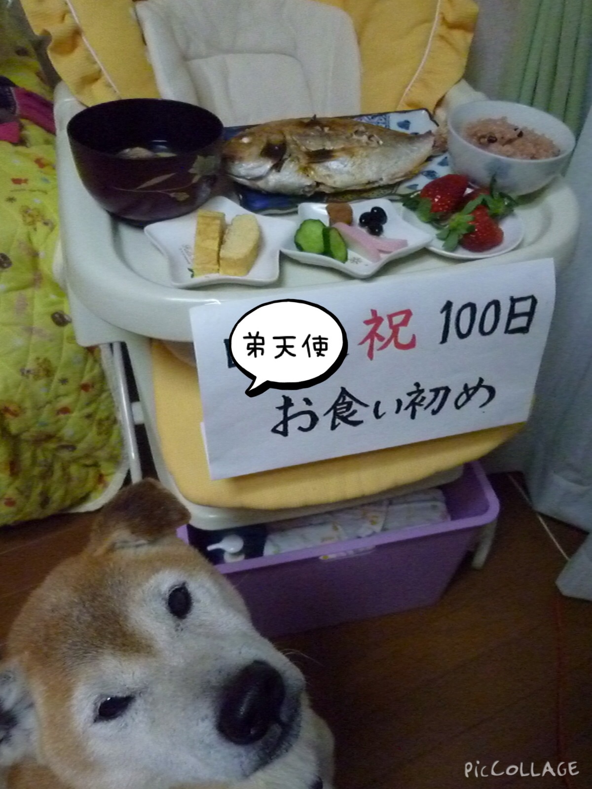 c0123890_21501173.jpg