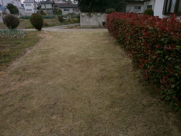 d0000995_19352846.jpg