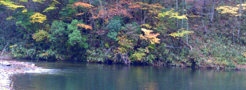 f0266202_18512286.jpg