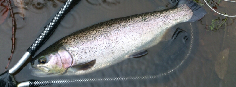 f0266202_18544462.jpg