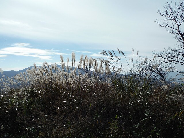 b0326303_17263067.jpg