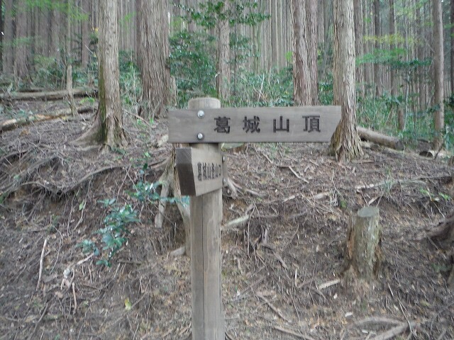 b0326303_21513918.jpg