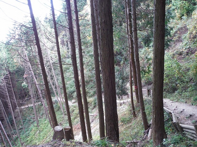 b0326303_21560287.jpg