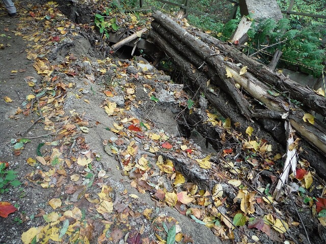 b0326303_21565134.jpg