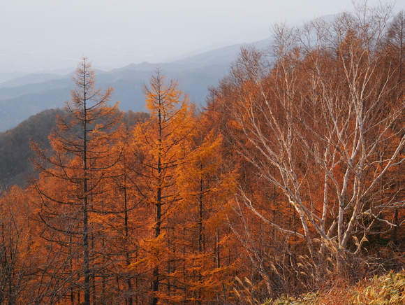 f0302208_1849040.jpg
