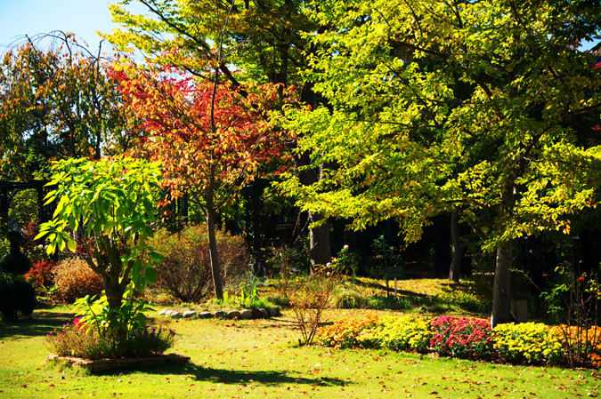 a0263109_20414616.jpg