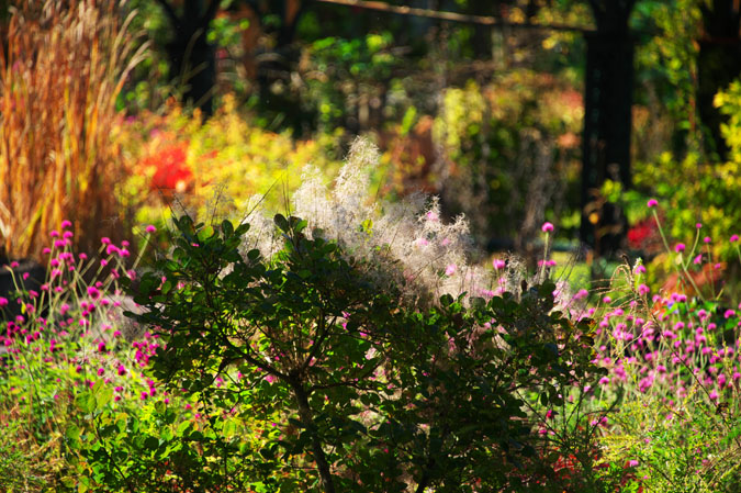 a0263109_20422053.jpg