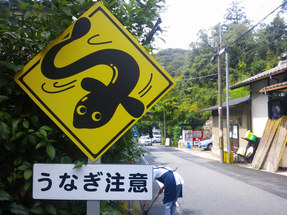 d0016409_235453100.jpg