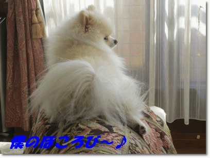 b0167519_23442972.gif